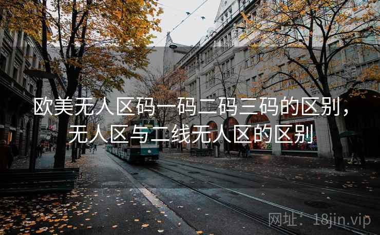 欧美无人区码一码二码三码的区别,无人区与二线无人区的区别